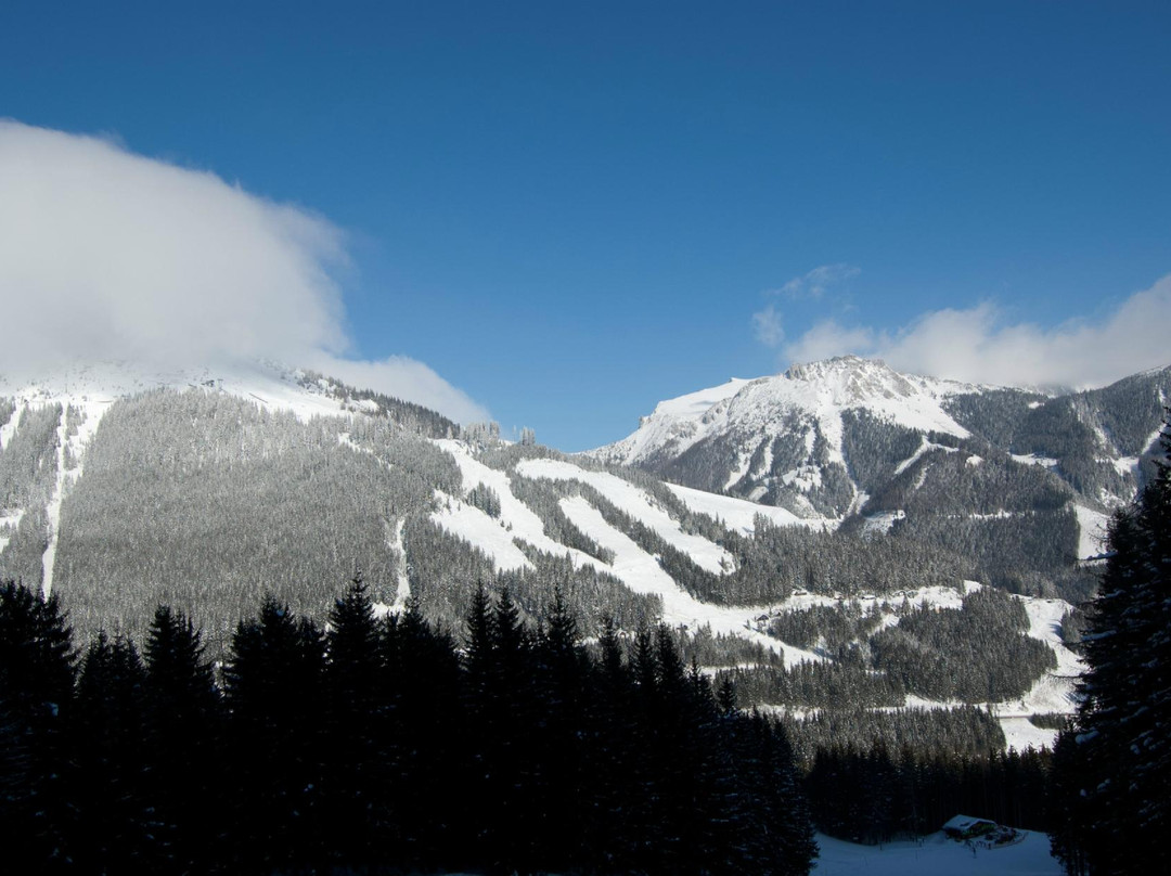 Skiarena Praebichl