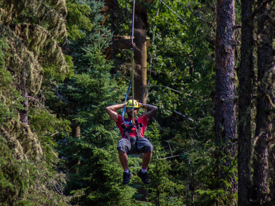 Treeosix Adventure Parks景点图片