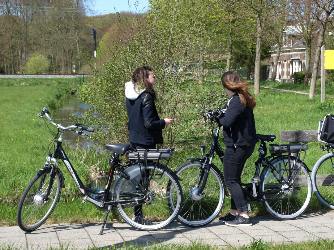 Rent a Bike Haarlem景点图片