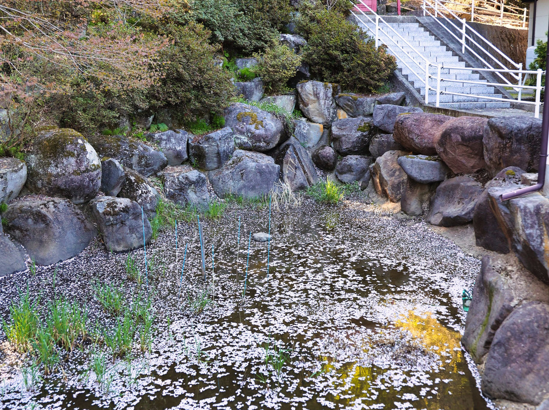 Yahatazan Daiun-ji Temple景点图片