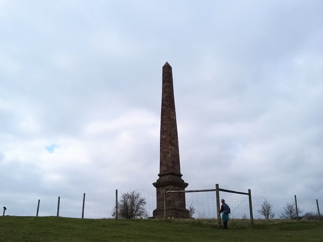 Wychbury Hill & Obelisk景点图片