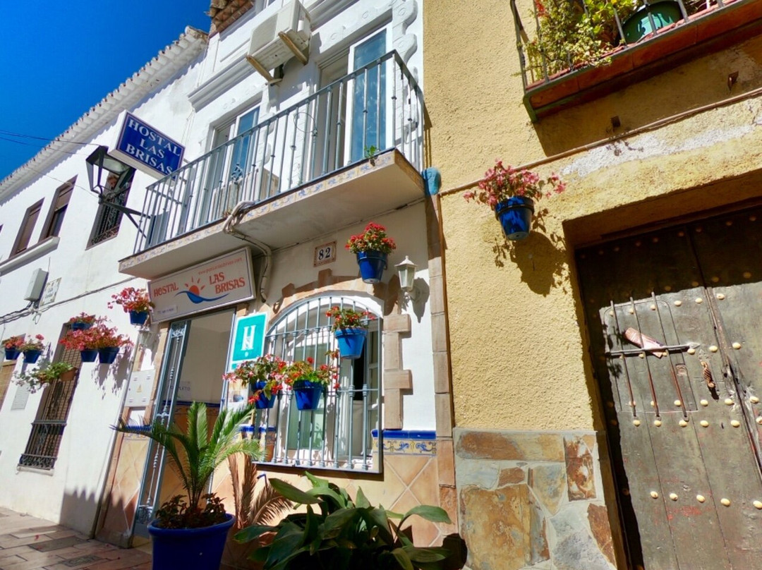 艾斯塔波的Las Brisas