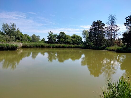 Reedham Ferry Touring Park景点图片