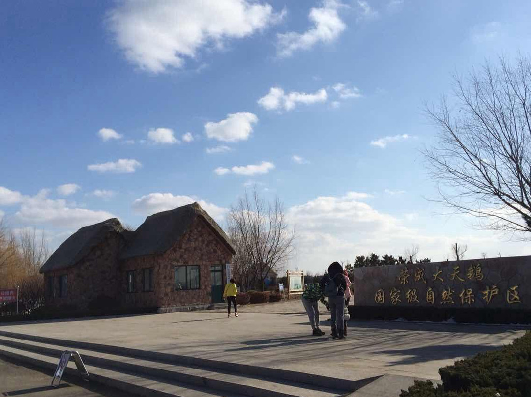 东方天鹅湖-荣成市必去景点