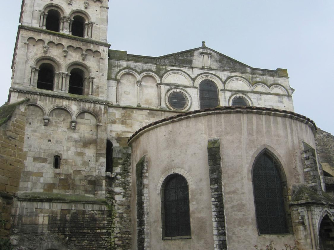 Cloître de Saint-André-le-Bas景点图片