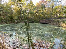 Brukner Nature Center-Troy必去景点