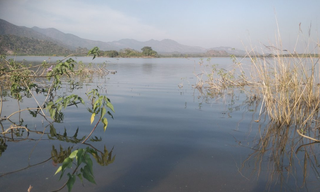 Tatipudi Reservoir景点图片
