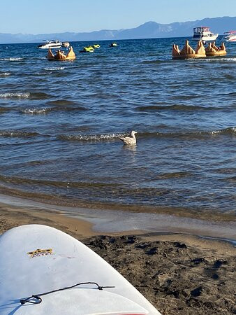 Crown Motel - Kings Beach主图