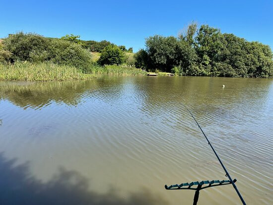 Tyddyn Sargent Coarse Fishery景点图片
