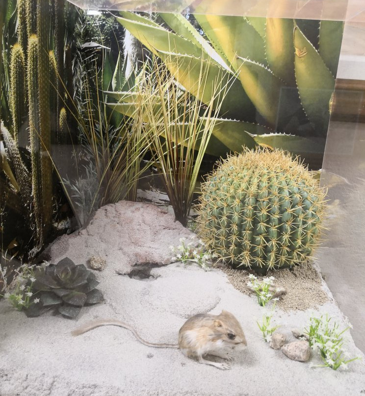 Apple Valley Legacy Museum-Apple Valley必去景点