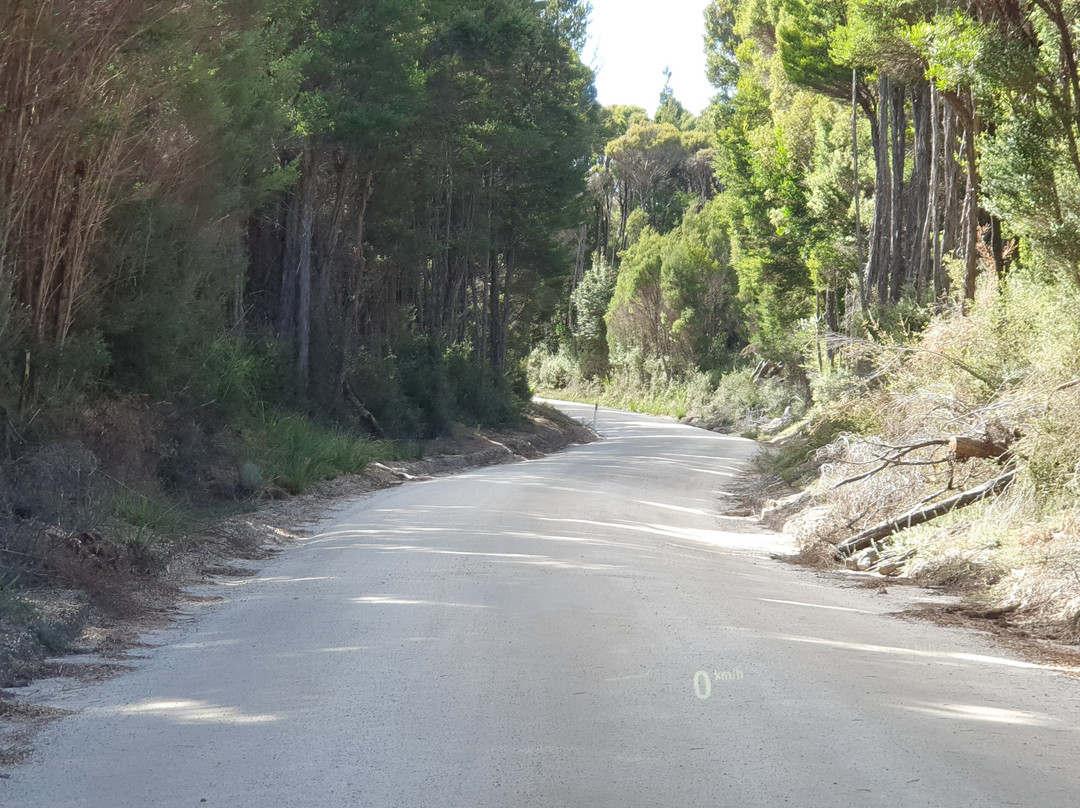 Corinna Ferry-Corinna必去景点