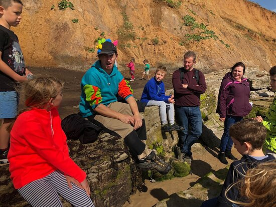 Isle of Wight Fossil Hunts - Island Gems景点图片
