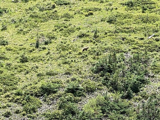 San Juan Backcountry-Silverton必去景点