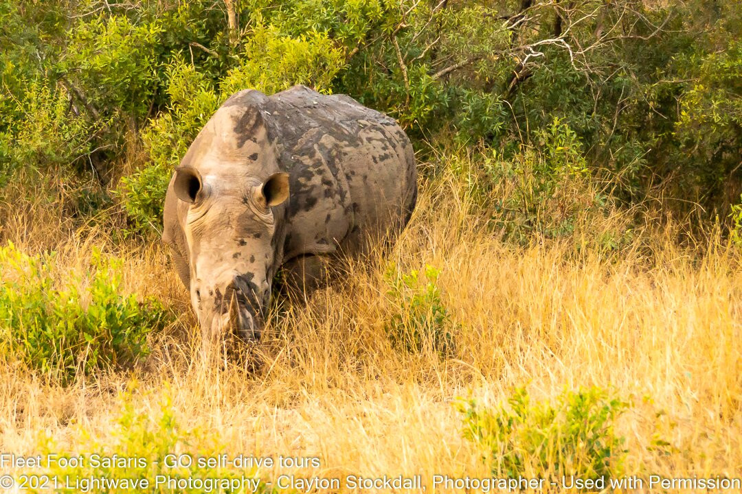 Fleet Foot Safaris-Brenton-on-Sea必去景点