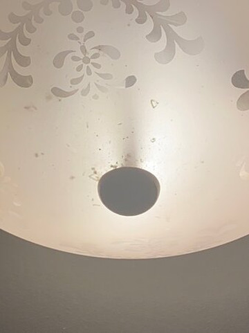 Hotel Grevol Spa主图