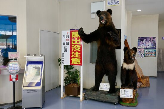 Michi no Eki Minami-Furano-南富良野町必去景点