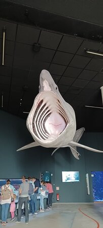 Ozeaneum-施特拉尔松德必去景点