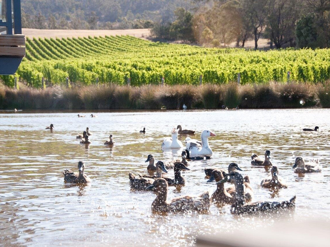 Puddleduck Wines-Richmond必去景点