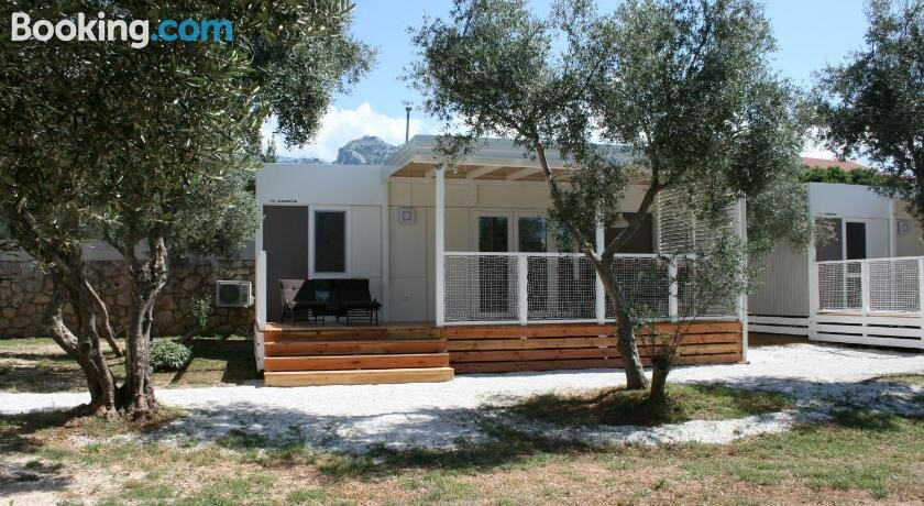 Camp Katinka