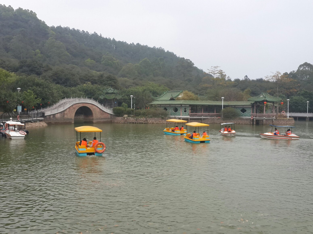 鹤山旅游攻略图片