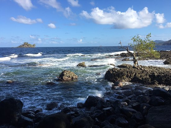 Hotel Los Robles主图