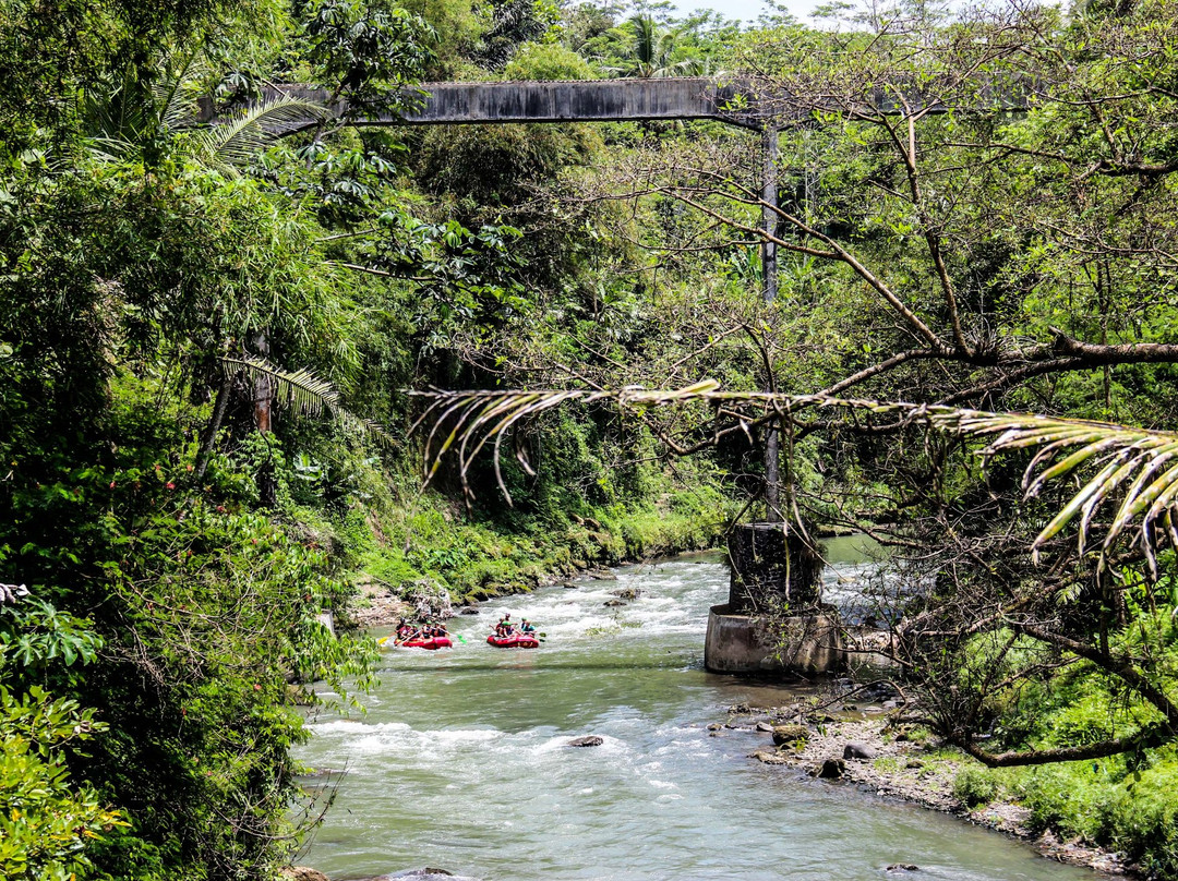 Rafting Elo景点图片