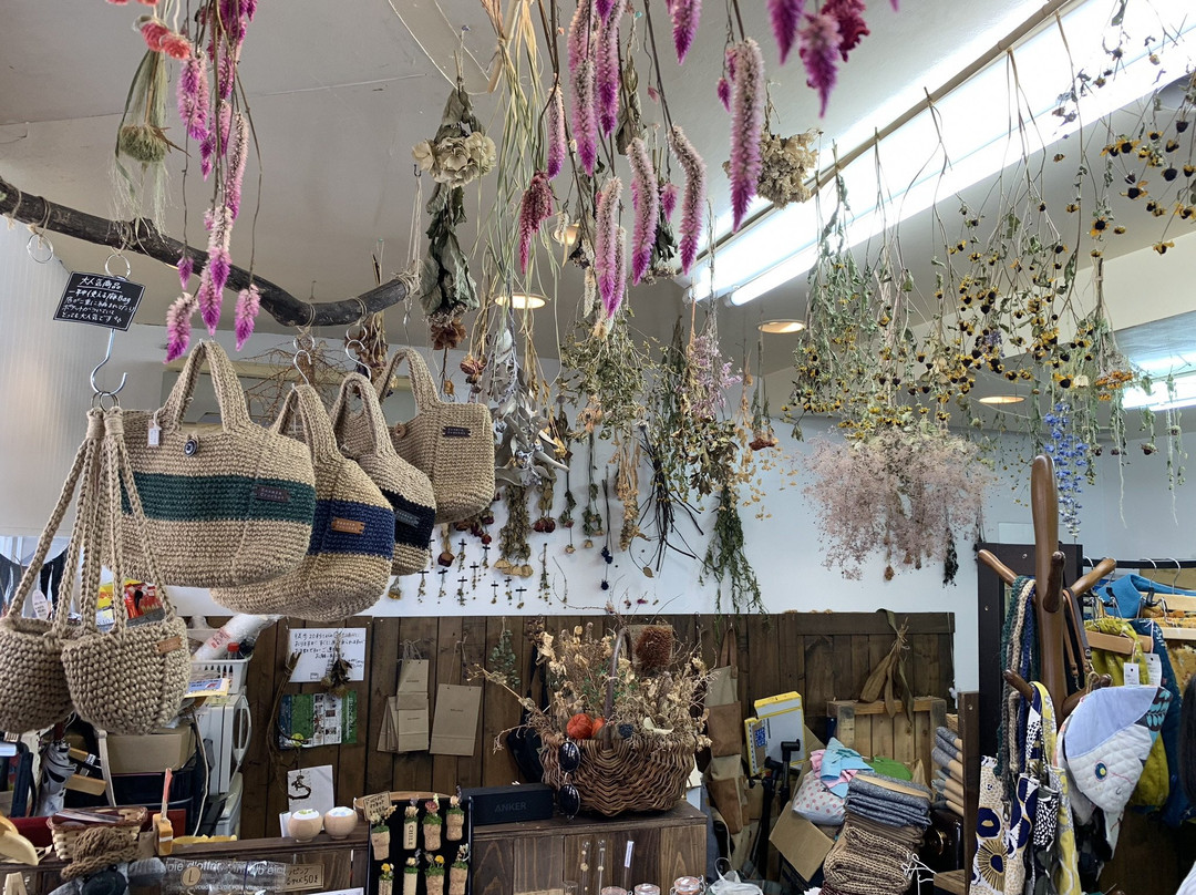 Susie Pocket-佐贺市必去景点