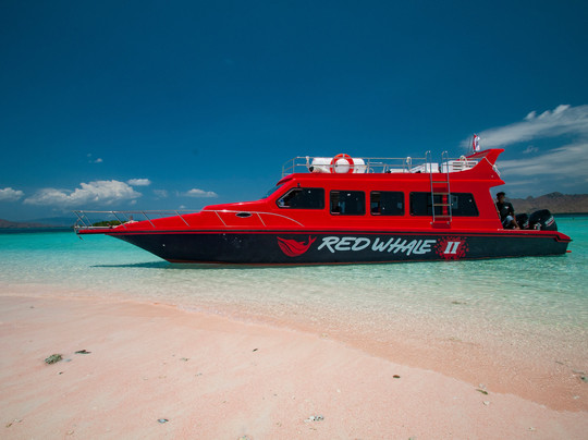 Red Whale Dive Center & Tours-Labuan Bajo必去景点