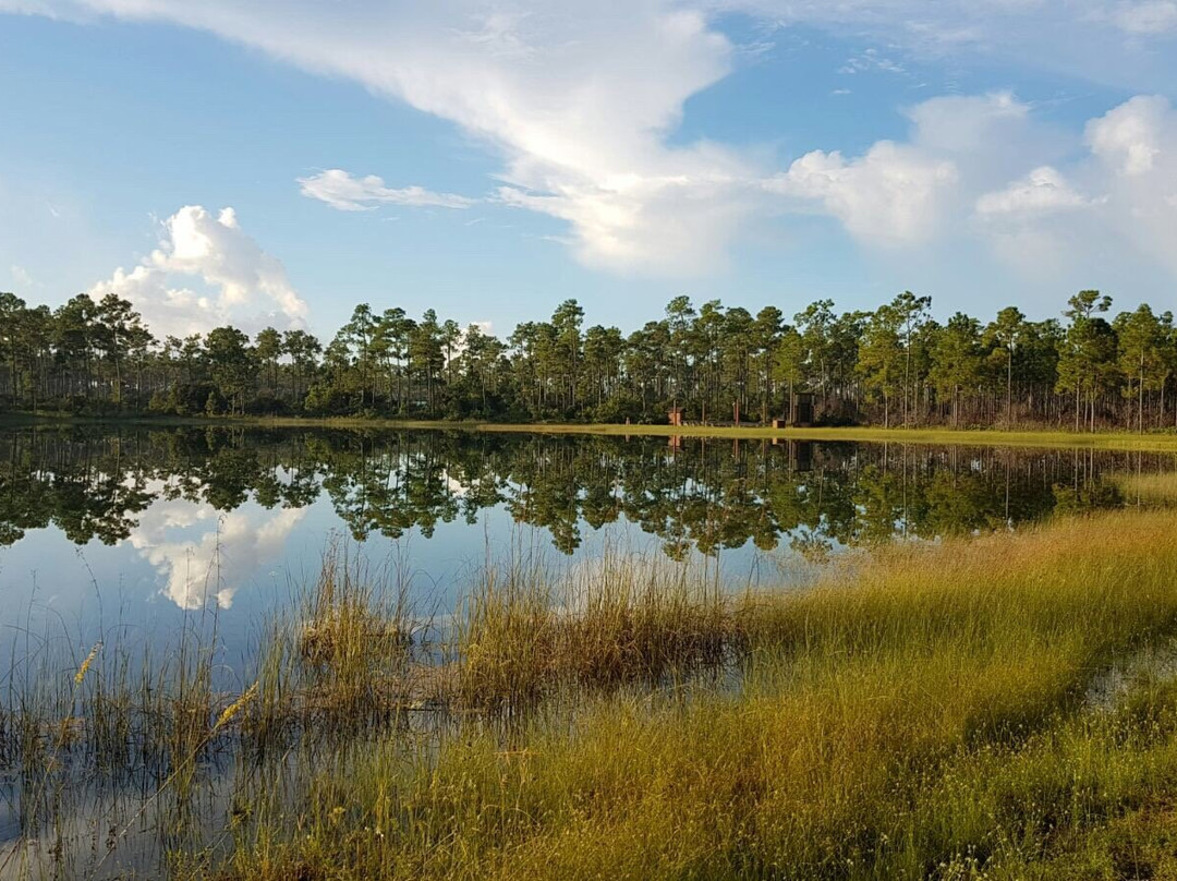 佛罗里达城旅游攻略图片
