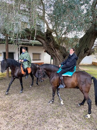 Doñana Dressage景点图片