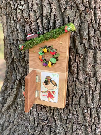 Friendswood Fairy Trail-Friendswood必去景点