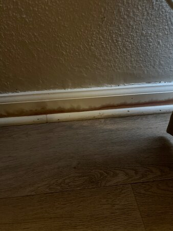 Best Western Heritage Inn主图