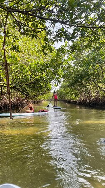 Naples SUP Co-那不勒斯必去景点