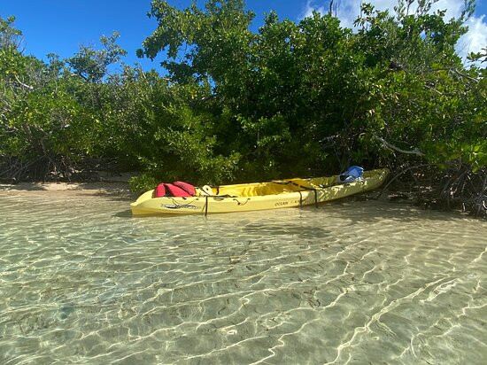 Virgin Island EcoTours - St. Thomas Tours-圣 托马斯必去景点