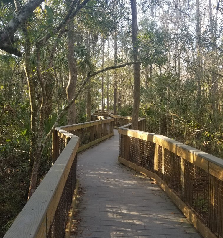 John Chesnut Sr. Park-帕姆港必去景点