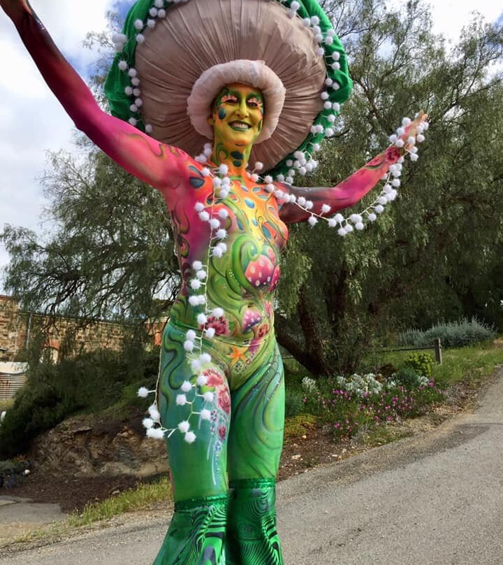 Burra Regional Art Gallery-Burra必去景点