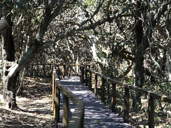 John Ward Rainforest Walk-福斯特必去景点