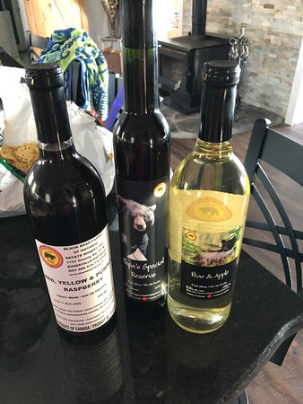 Black Bear Farms of Ontario Estate Winery-Kingsville必去景点