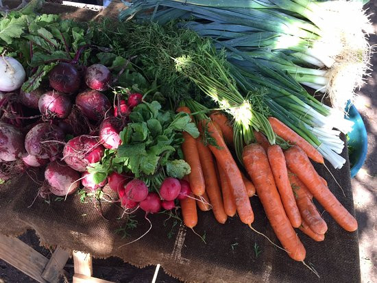 Bloemendal Wine Estate-德班丘必去景点