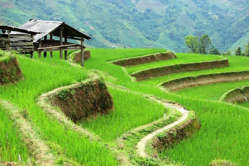 Xin Man旅游攻略图片