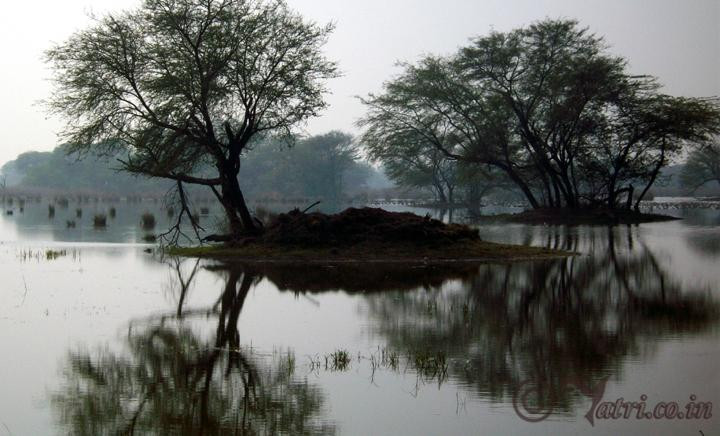 Sultanpur National Park景点图片