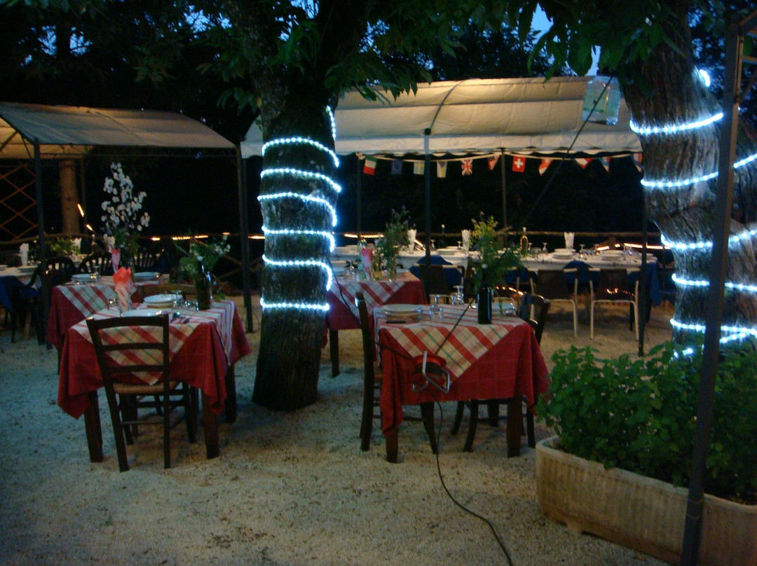 Giungla dei castagni