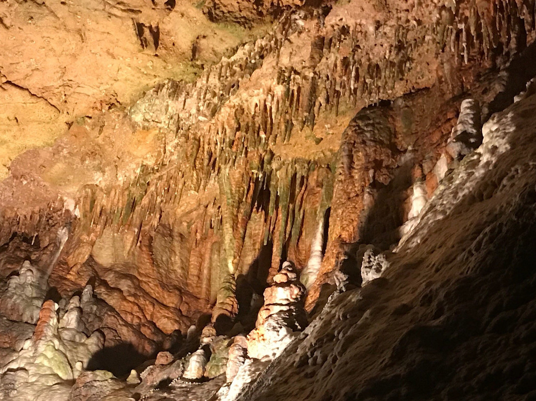 斯坦顿旅游攻略图片