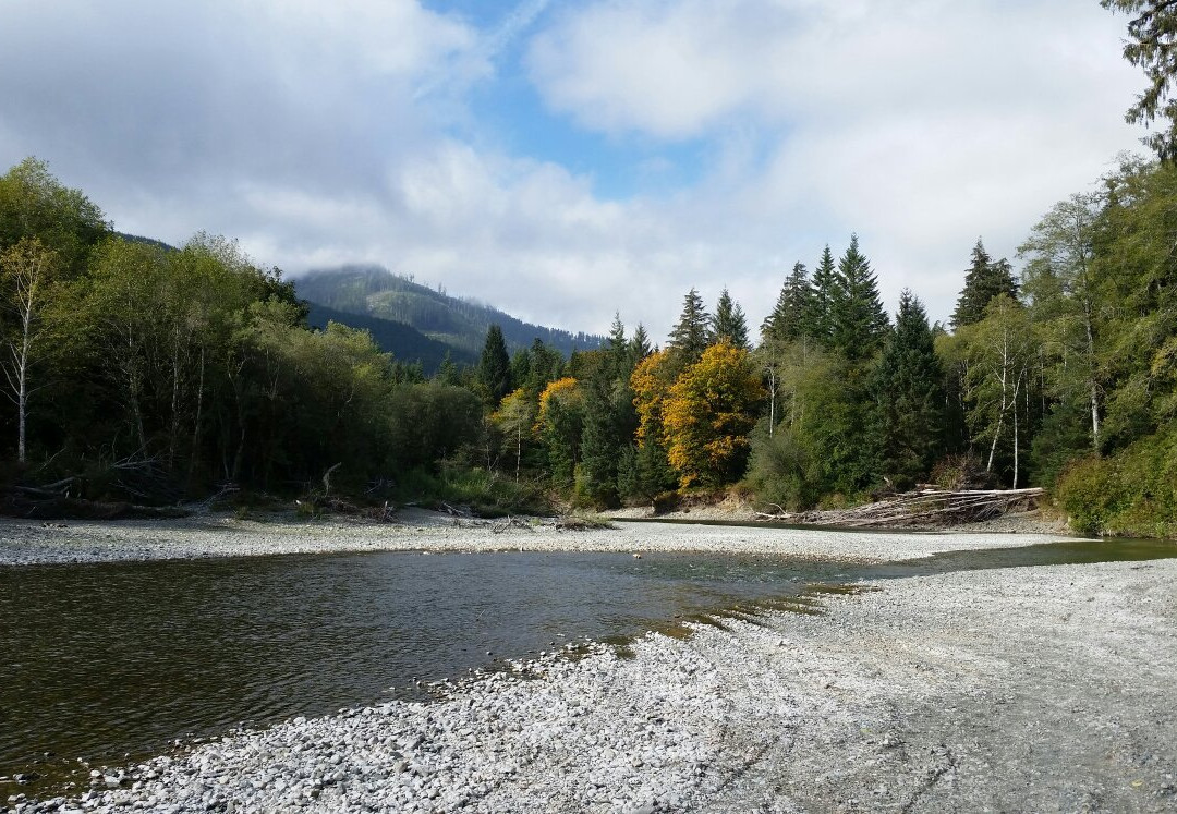 2024年1月Nitinat River Provincial Park景点攻略-Nitinat River Provincial Park ...