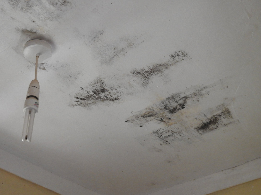 Bunyonyi View Resort主图