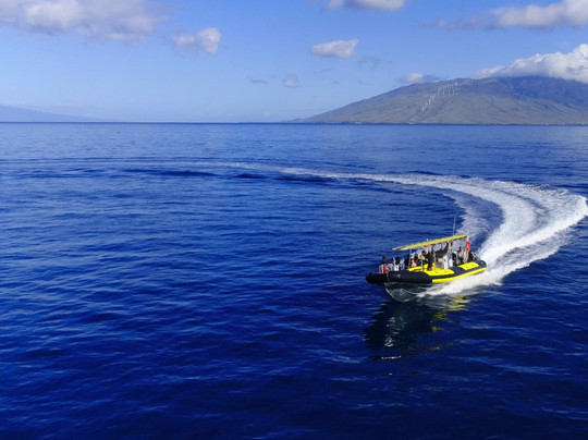 毛伊岛浮潜之旅