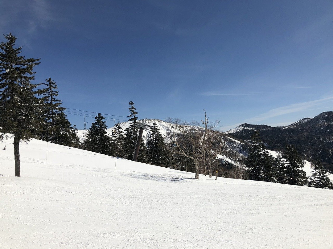 Manza Onsen Ski Place景点图片