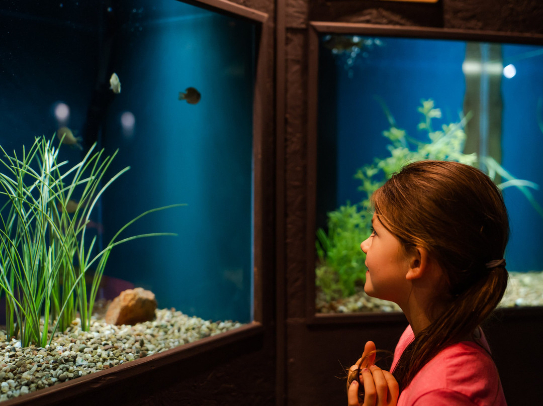 劳顿旅游景点-Medicine Park Aquarium and Natural Sciences Center