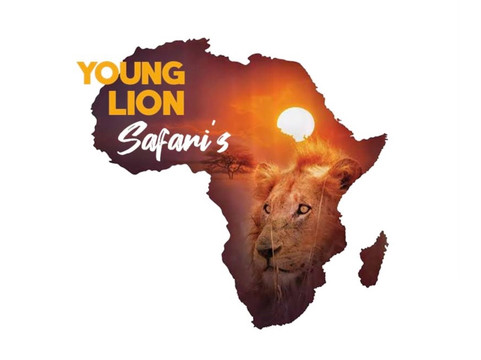 young_lion_safaris