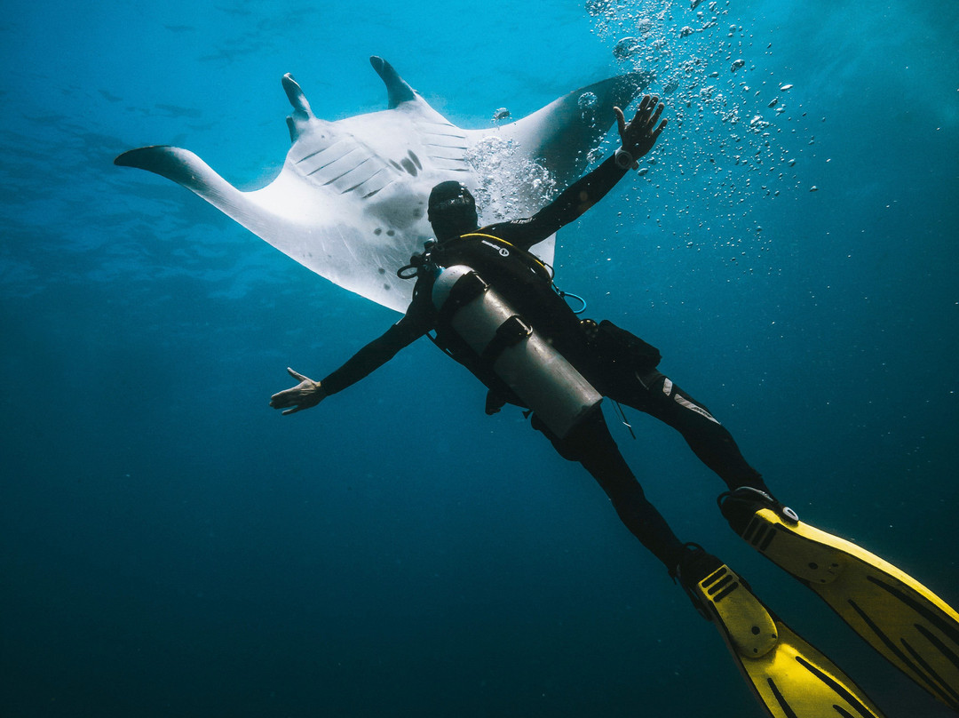DPM Diving Nusa Penida-珀尼达岛必去景点